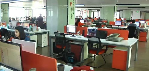 張學龍一行實地調研民營企業，助力創新發展與實業投資